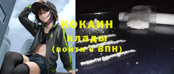 шишки Заволжск