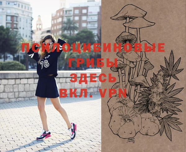 молекула духа Заводоуковск