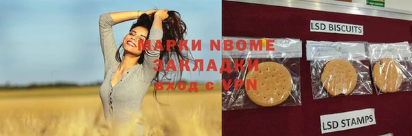 молекула духа Заводоуковск