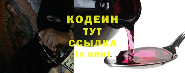 шишки Заволжск
