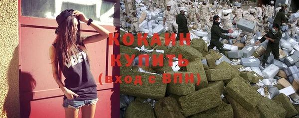 шишки Заволжск