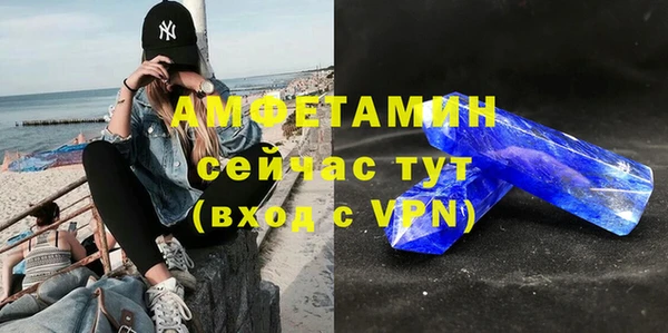 шишки Заволжск