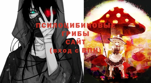 шишки Заволжск