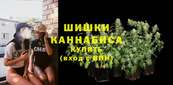 шишки Заволжск