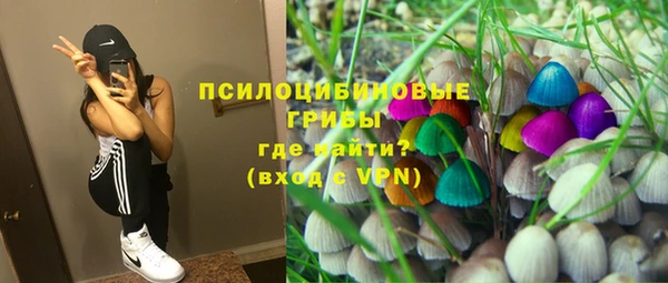 молекула духа Заводоуковск