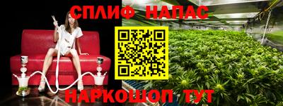 a pvp Кимры