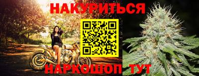 каннабис Кингисепп