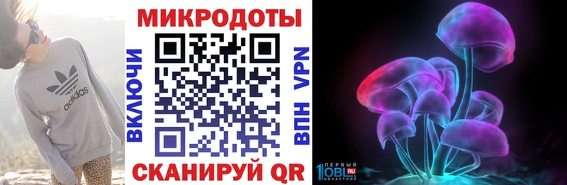 закладки  Сланцы  Псилоцибиновые грибы Psilocybe 