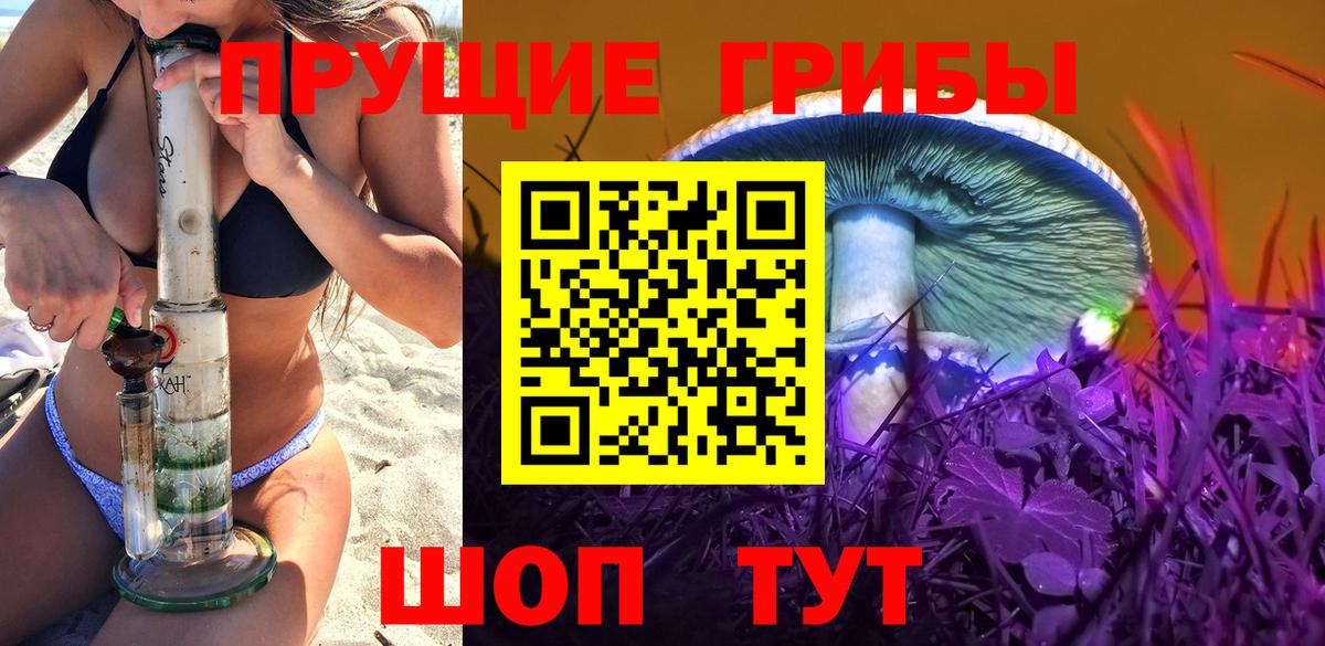 Сланцы  Псилоцибиновые грибы MAGIC MUSHROOMS  Вход с VPN  где найти   Псилоцибиновые грибы Magic Shrooms 